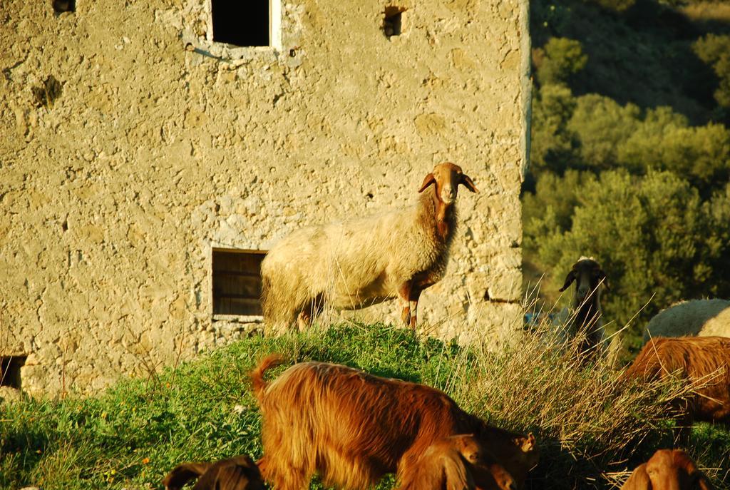 Experience Il Paesino Hotel Licodia Eubea Exterior photo